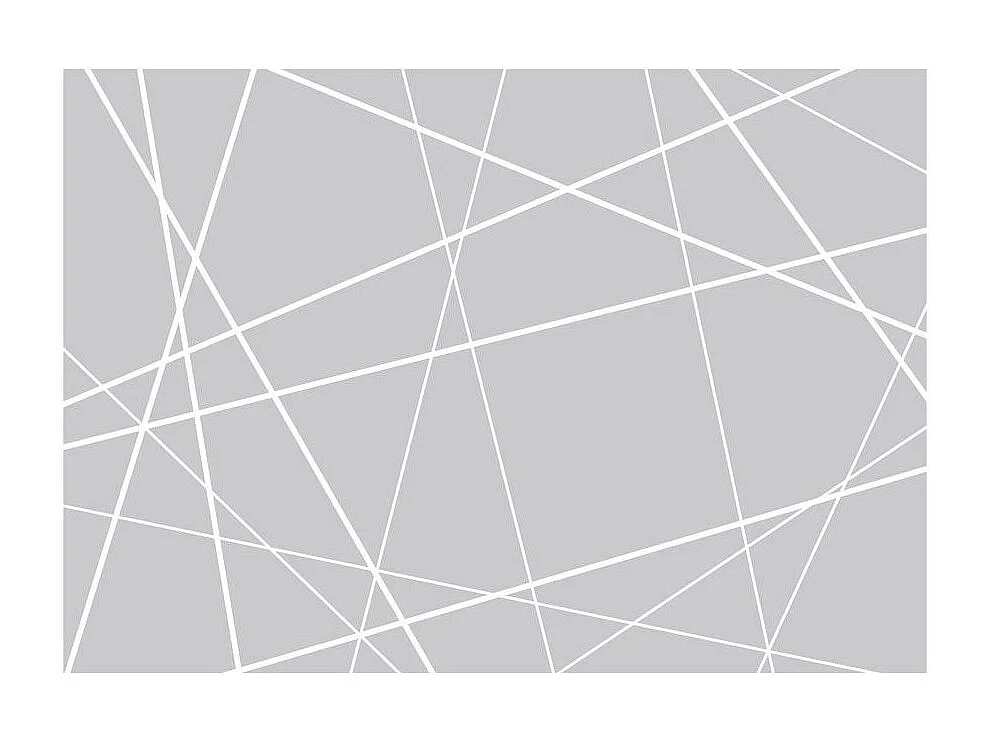 Papier Peint "Modern Cobweb" 210 x 300 cm