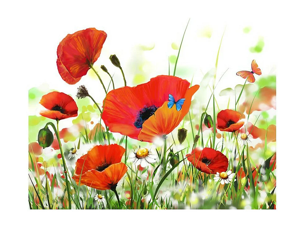 Papier Peint "Country Poppies" 231 x 300 cm