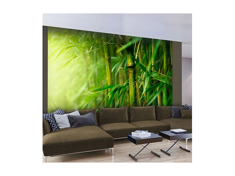 Papier Peint "Jungle Bambou" 193 x 250 cm