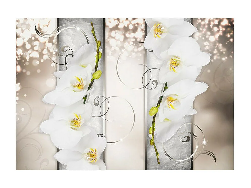 Papier Peint "Sophisticated Duet" 70 x 100 cm