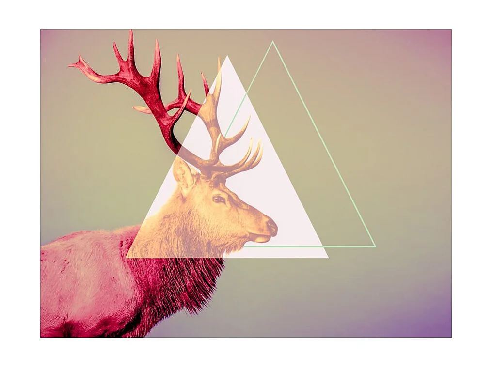 Papier Peint "Cerf Motif Graphique" 193 x 250 cm