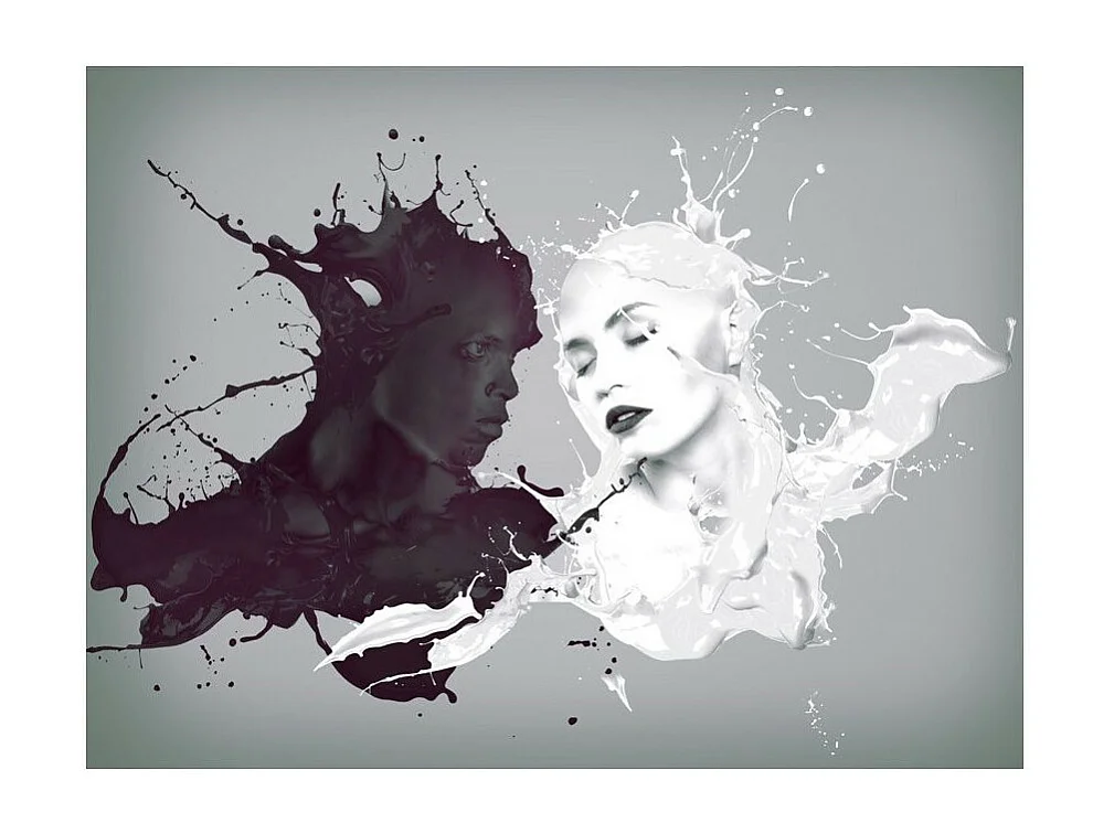 Papier Peint "Les Opposés S'attirent" 270 x 350 cm