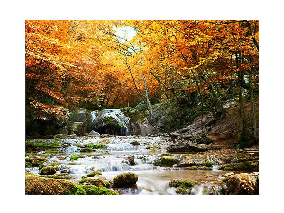 Papier Peint "Automne Chute D'eau" 154 x 200 cm