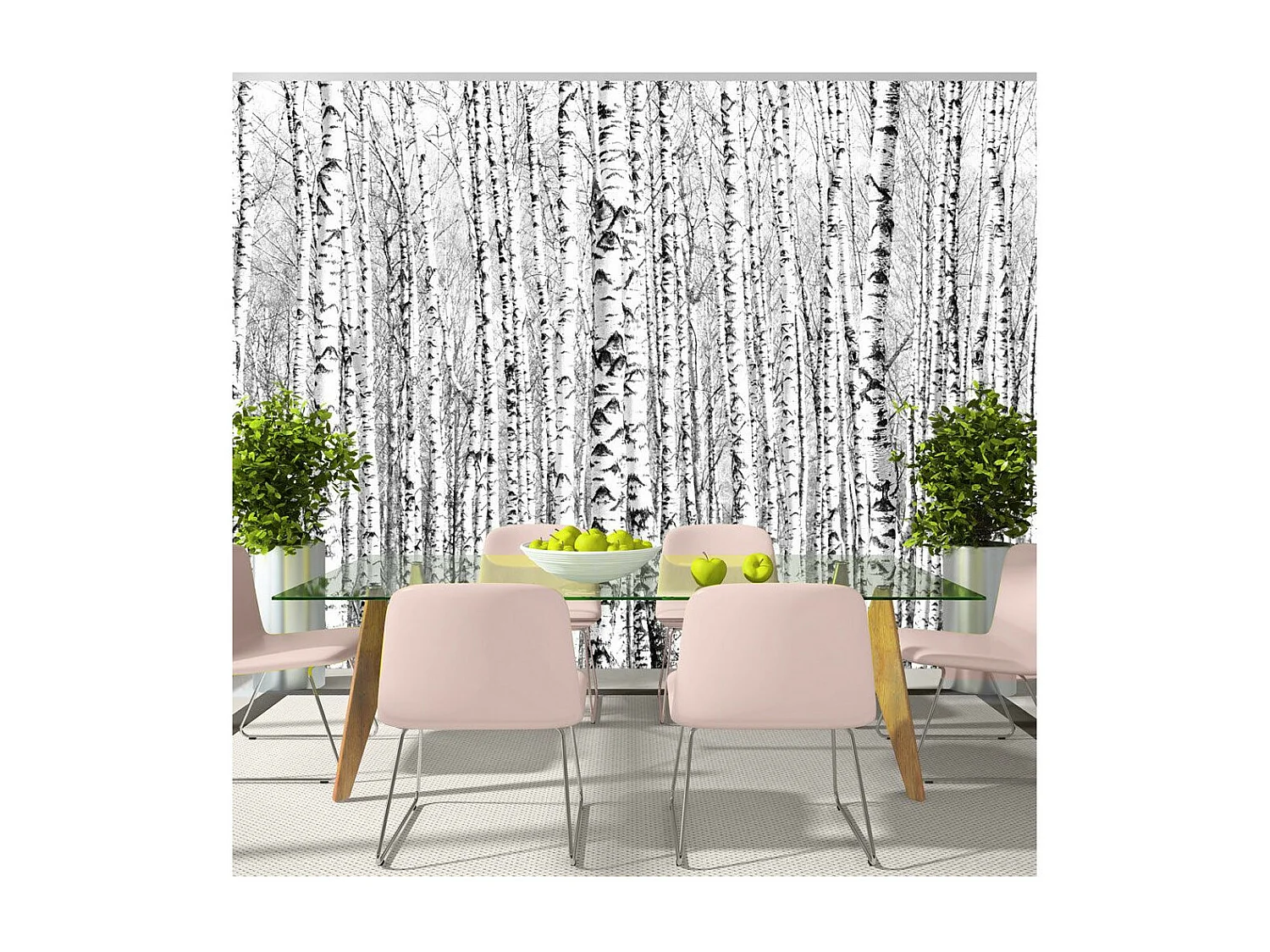 Papier Peint "Birch Forest" 175 x 250 cm