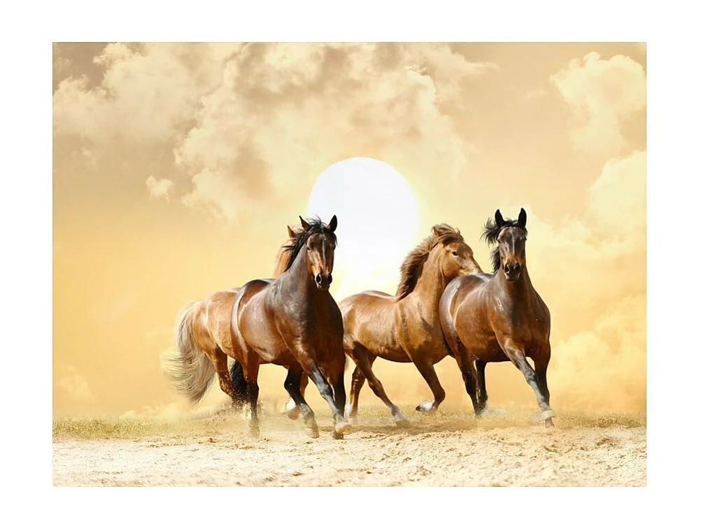 Papier Peint "Chevaux au Galop" 231 x 300 cm