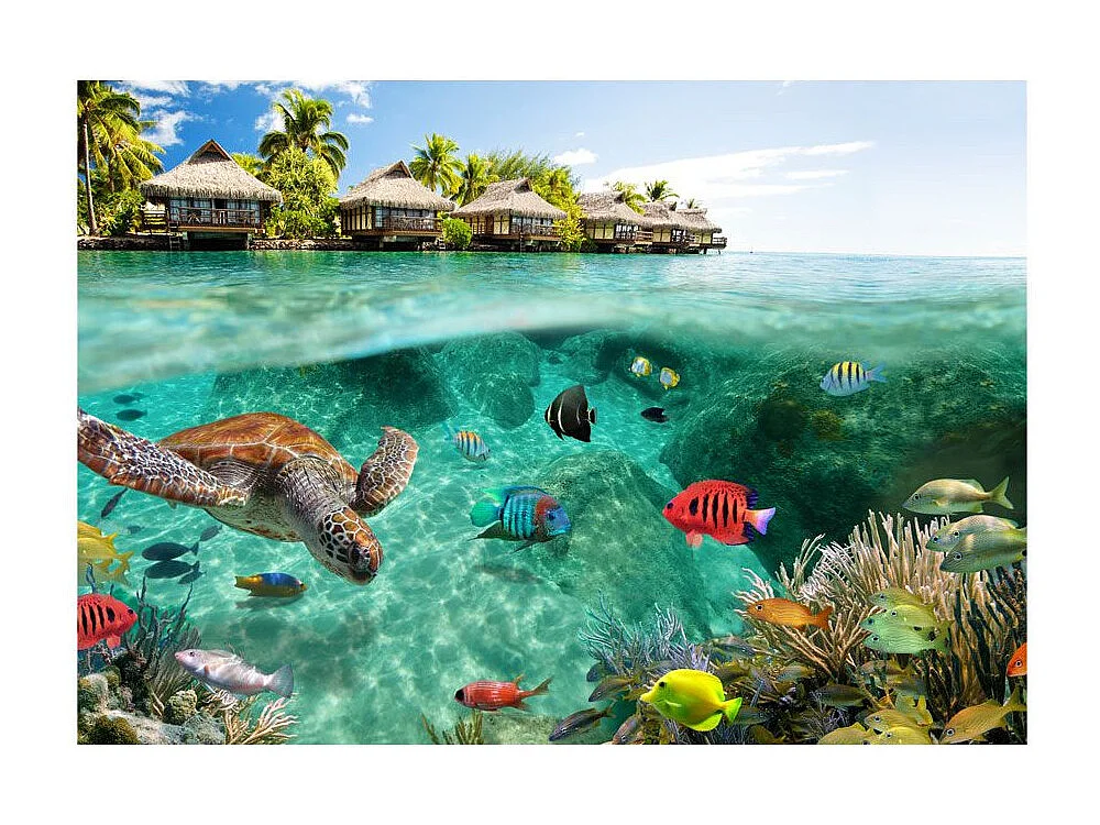 Papier Peint "Under the Surface of Water" 140 x 200 cm