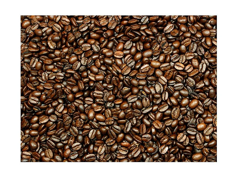 Papier Peint "Coffee Heaven" 270 x 350 cm