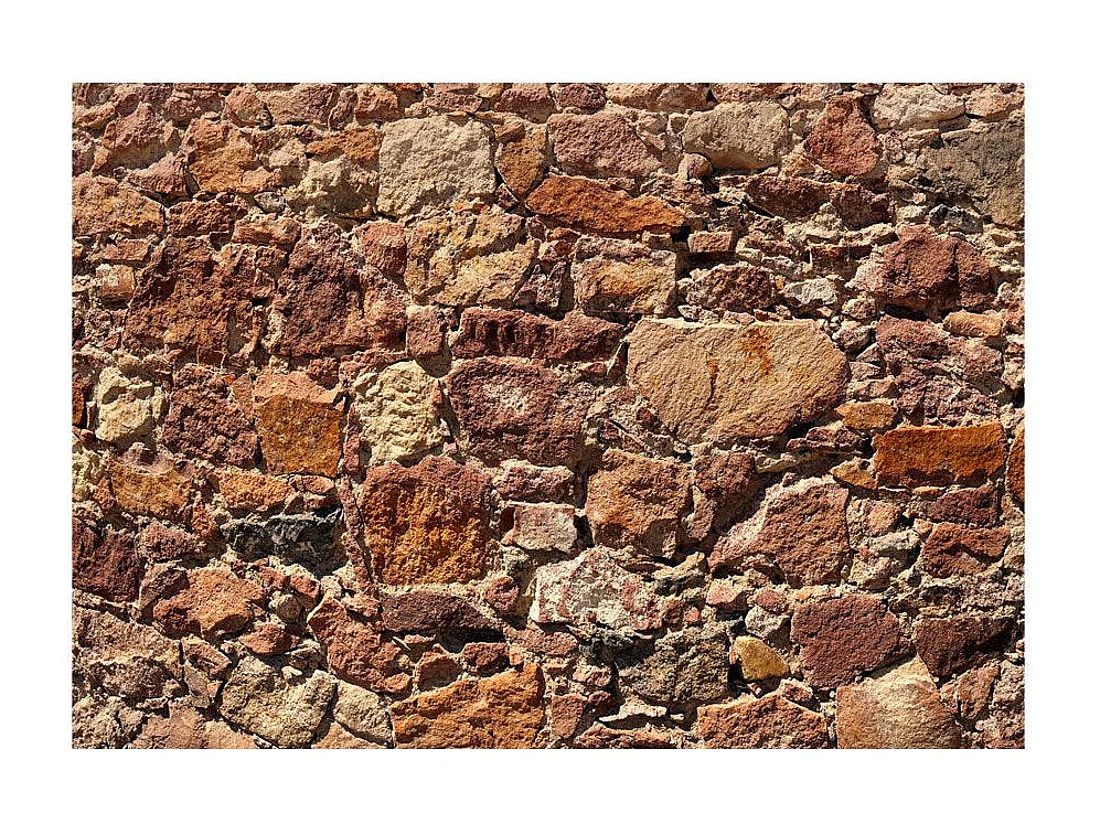 Papier Peint "Solar Armor" 245 x 350 cm