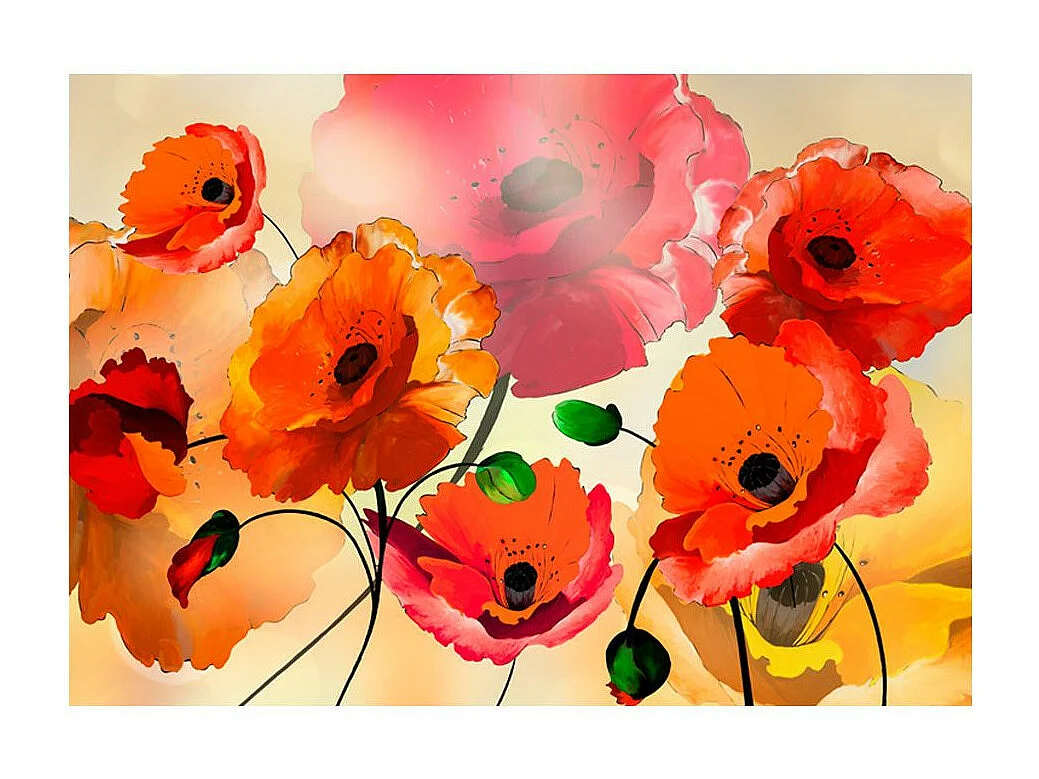 Papier Peint "Velvet Poppies" 175 x 250 cm