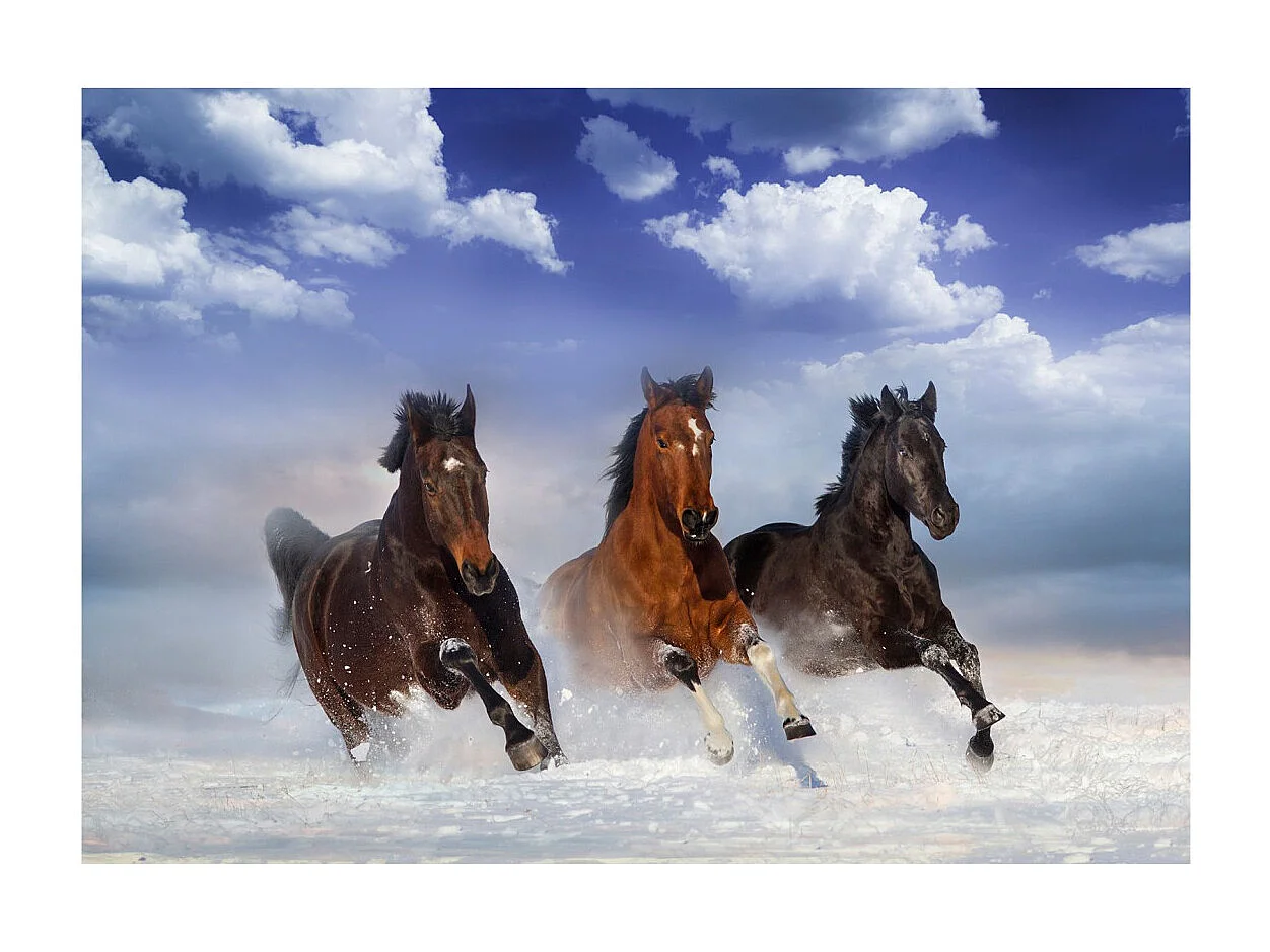 Papier Peint "Horses in the Snow" 210 x 300 cm