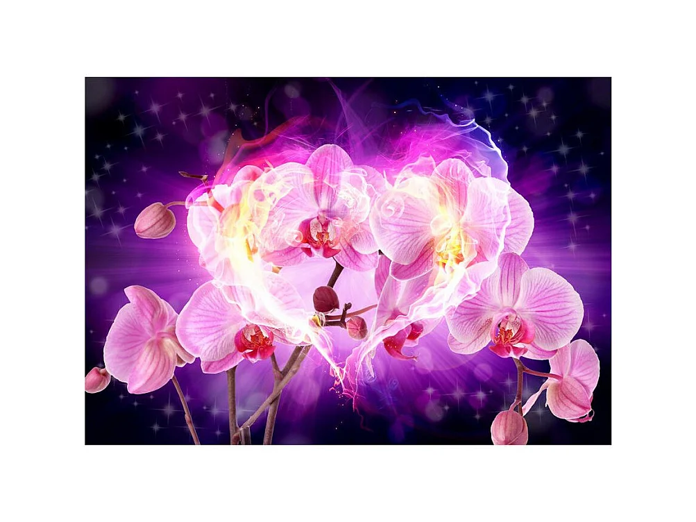 Papier Peint "Orchids in Flames" 70 x 100 cm
