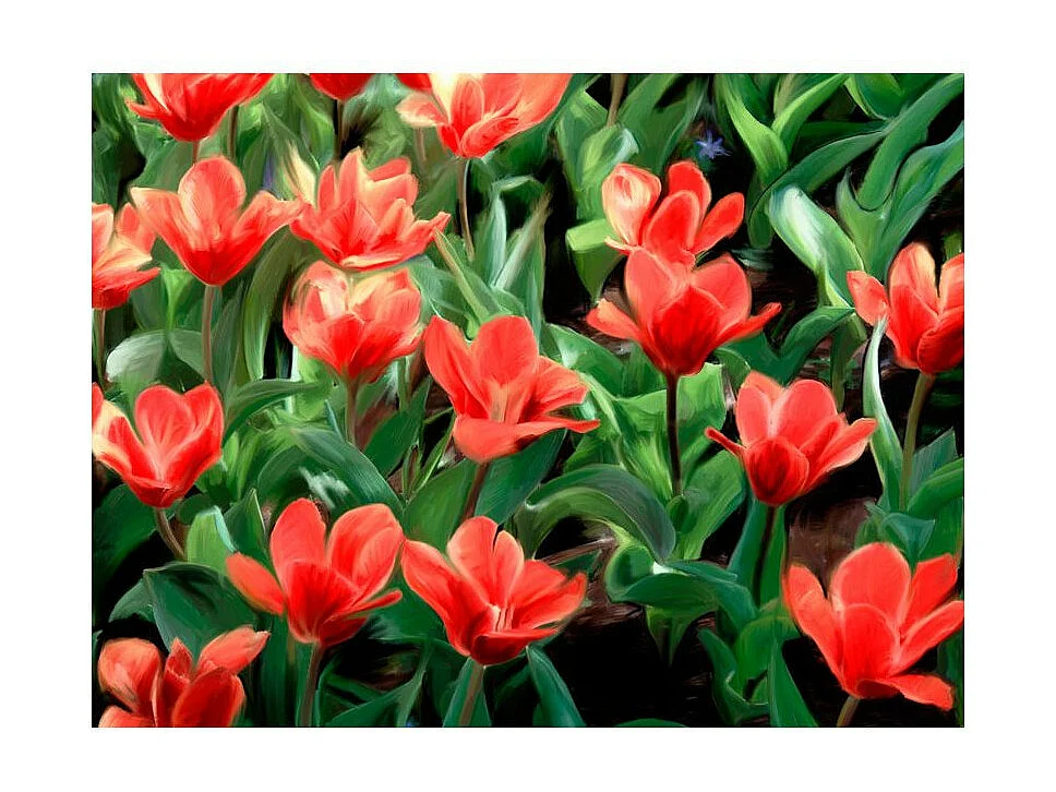 Papier Peint "Painted Flowers" 193 x 250 cm