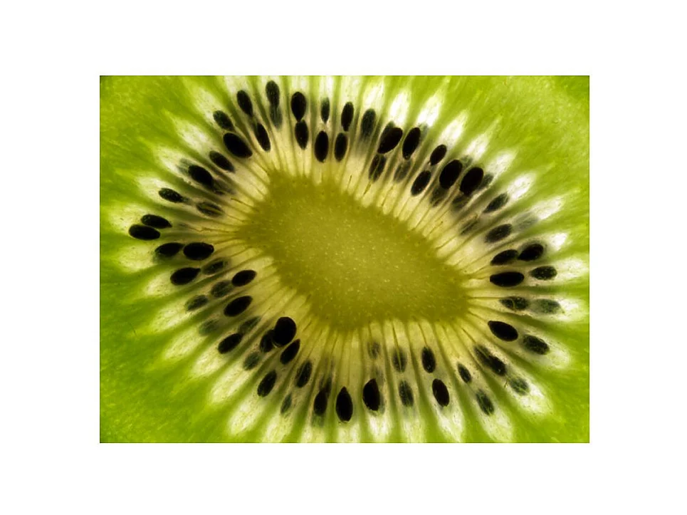 Papier Peint "Fruits : Kiwi" 193 x 250 cm