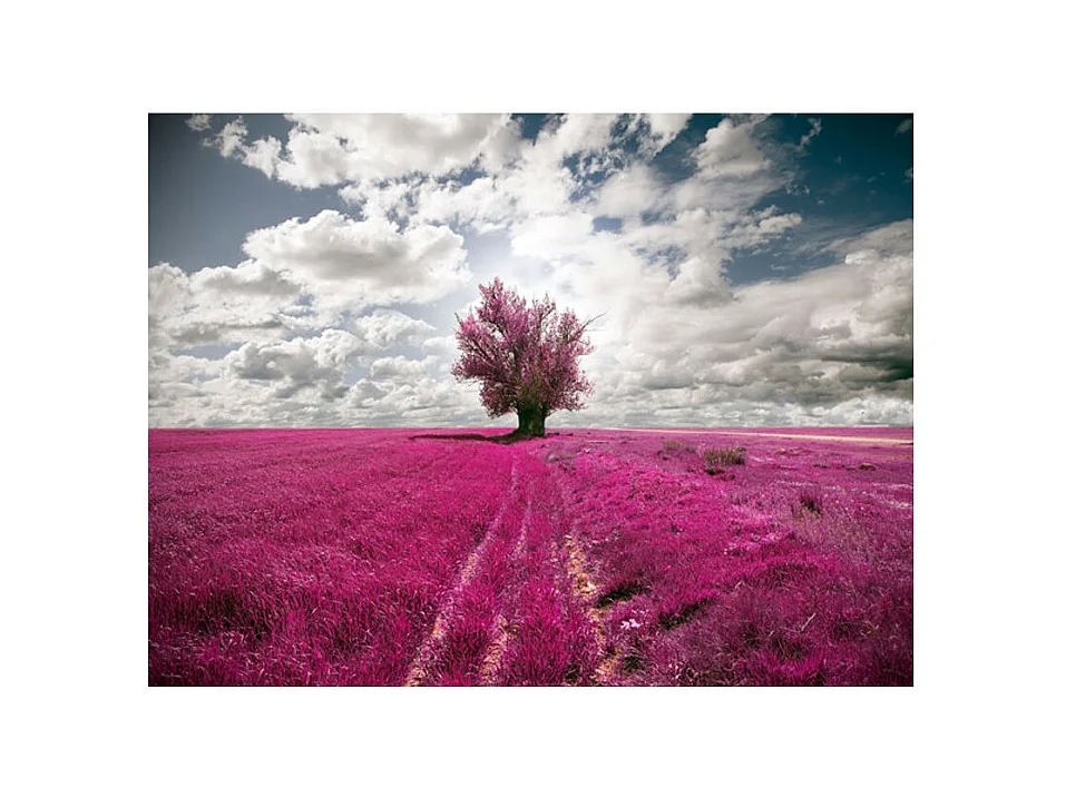 Papier Peint "Prairie Couleur Fuschia" 193 x 250 cm