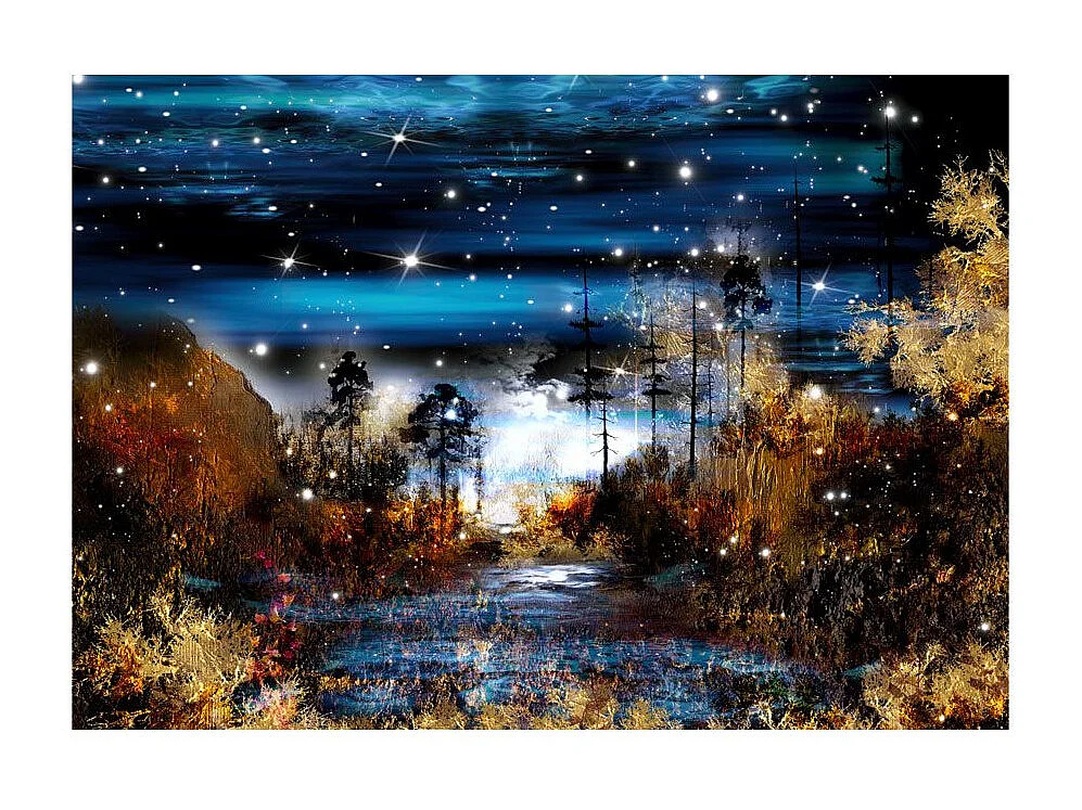 Papier Peint "Magical Forest" 70 x 100 cm