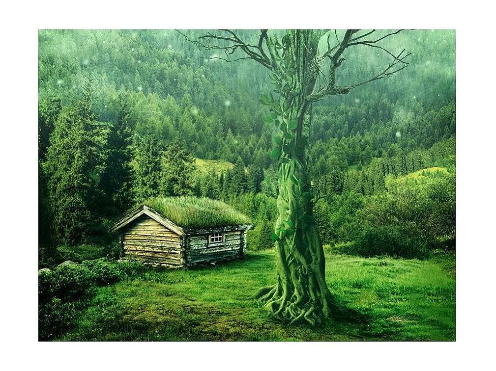 Papier Peint "Green Seclusion" 193 x 250 cm