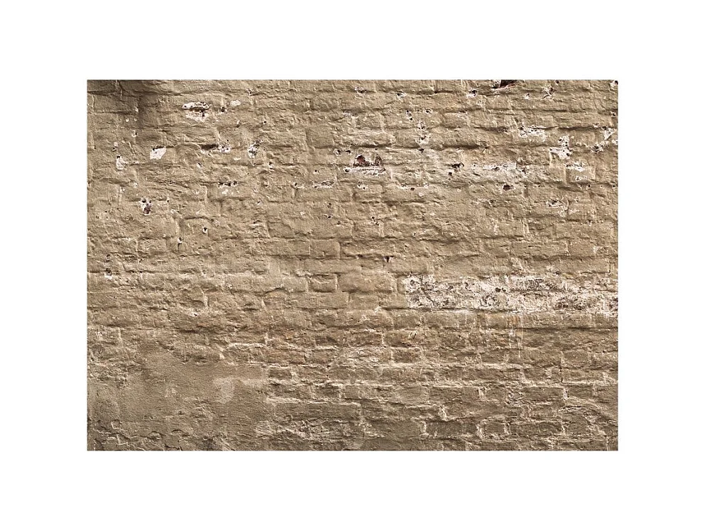 Papier Peint "Urban Oasis" 70 x 100 cm