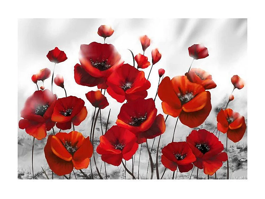 Papier Peint "Coquelicots dans au Clair de Lune" 140 x 200 cm