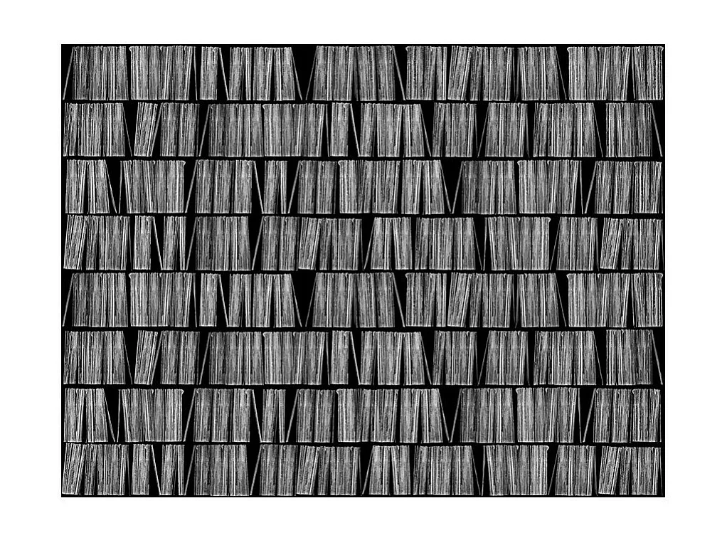 Papier Peint "Home Library" 231 x 300 cm