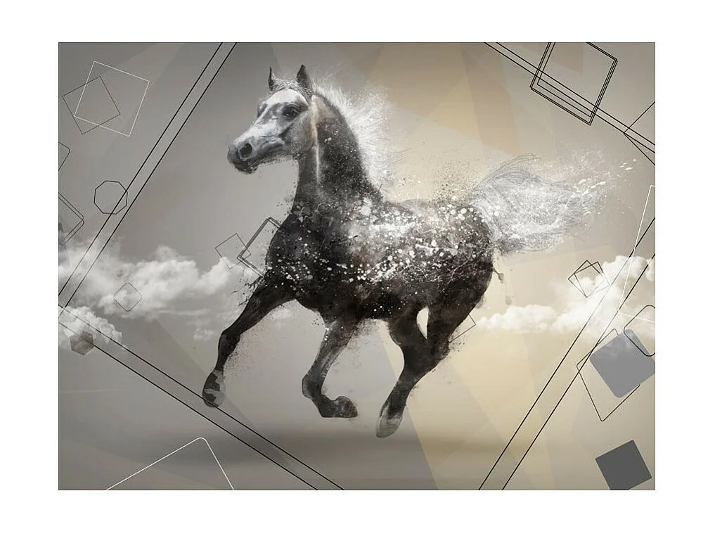 Papier Peint "Escape Into Dreams" 231 x 300 cm