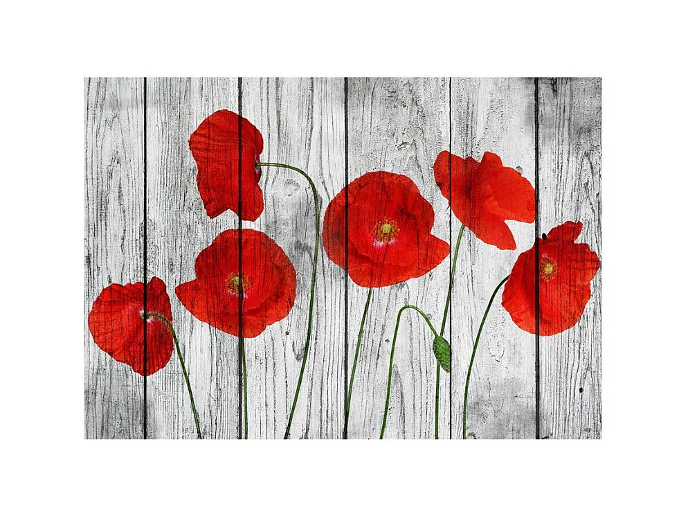 Papier Peint "Tale of Red Poppies" 140 x 200 cm