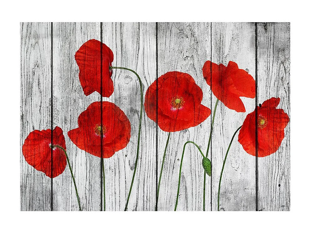 Papier Peint "Tale of Red Poppies" 140 x 200 cm