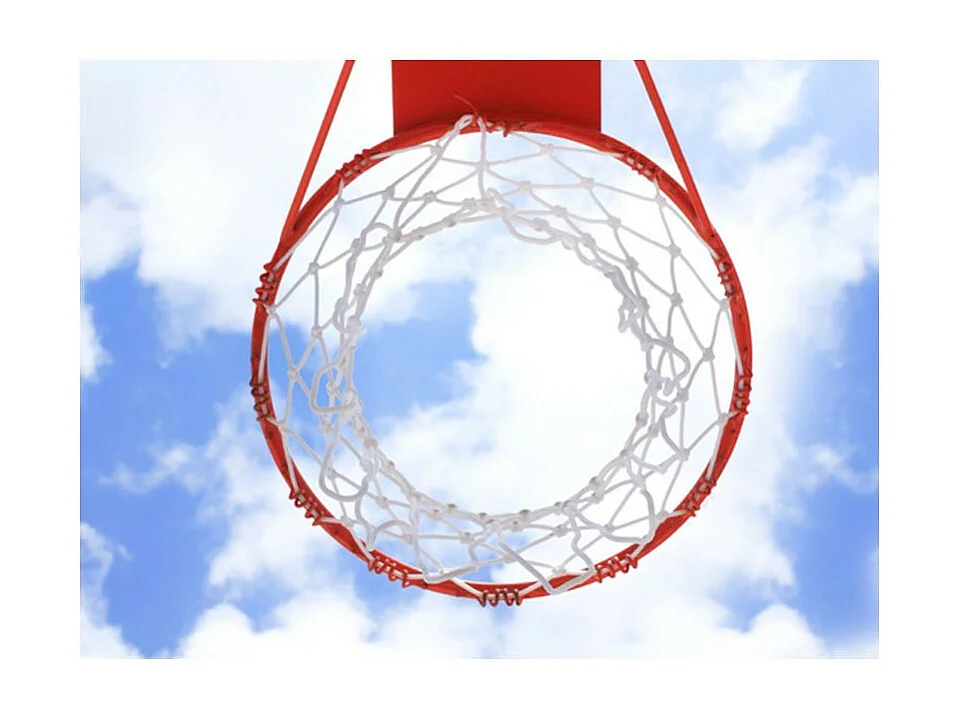 Papier Peint "Basketball" 270 x 350 cm