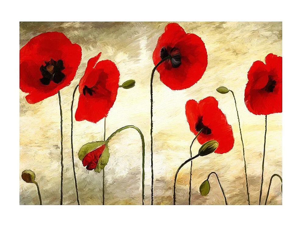 Papier Peint "Coquelicots Peints à l'acrylique" 193 x 250 cm