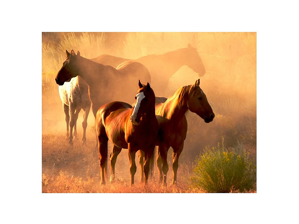 Papier Peint "Chevaux Sauvages en Pleine Steppe" 193 x 250 cm