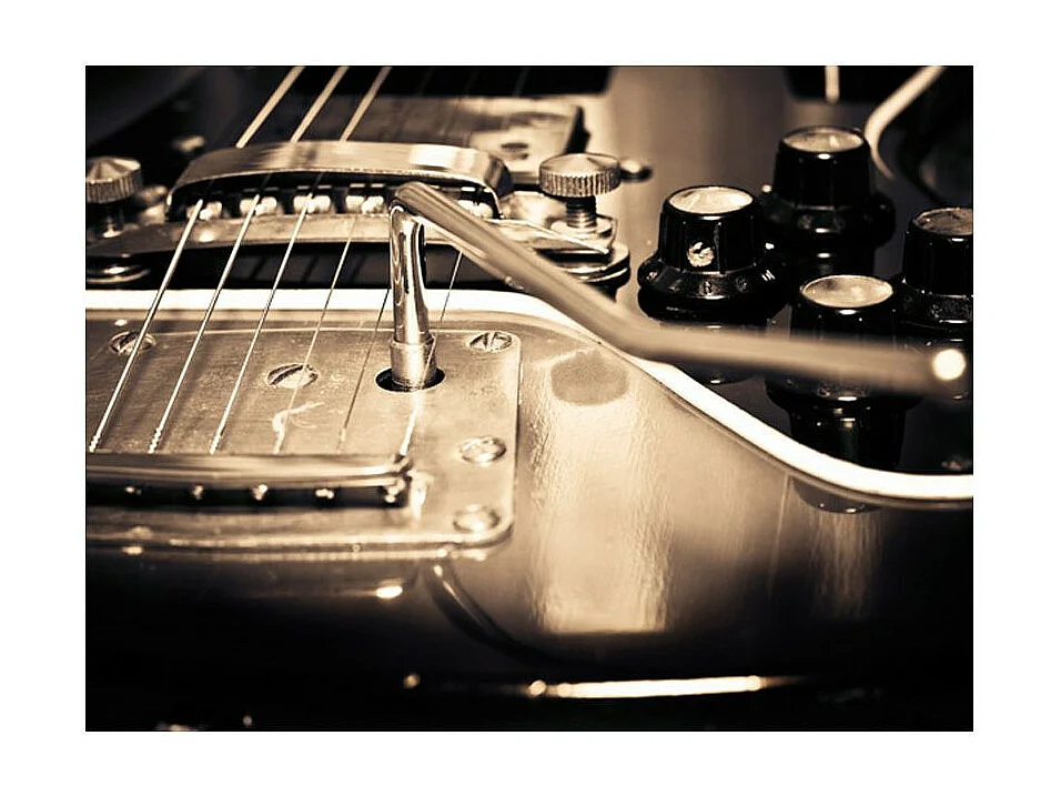 Papier Peint "Guitare" 231 x 300 cm