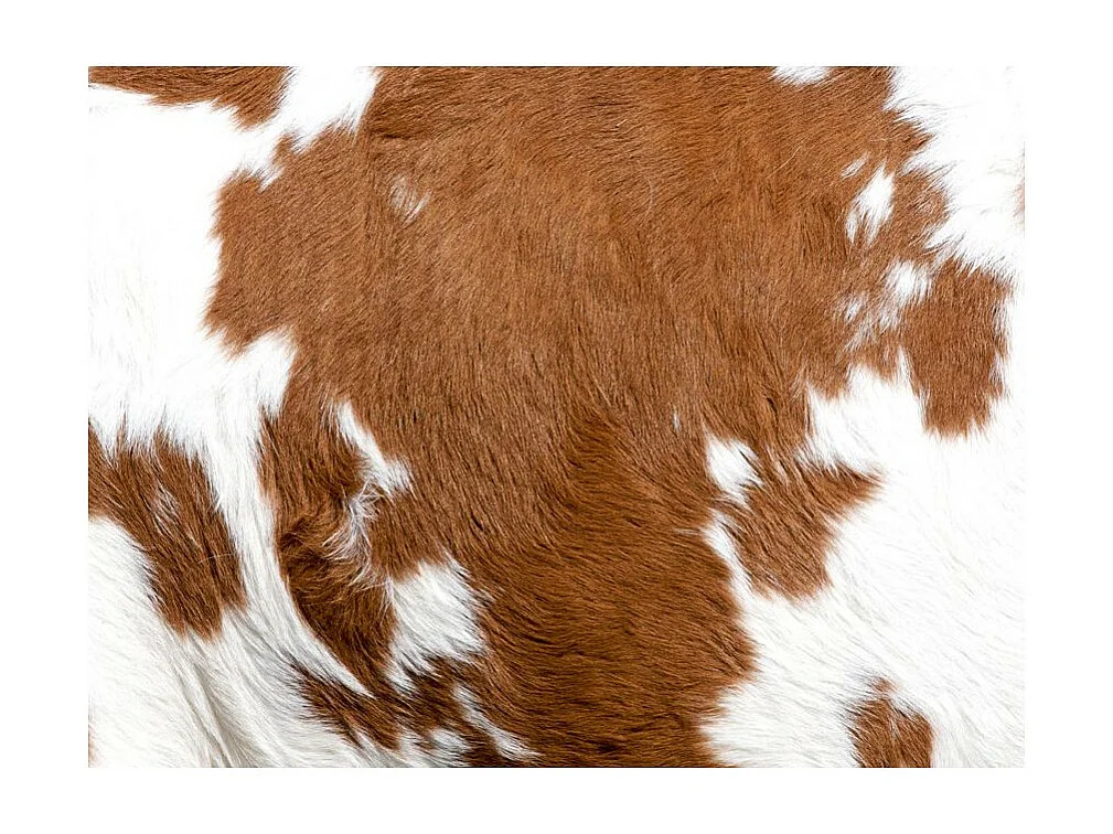 Papier Peint "Peau de Vache" 231 x 300 cm