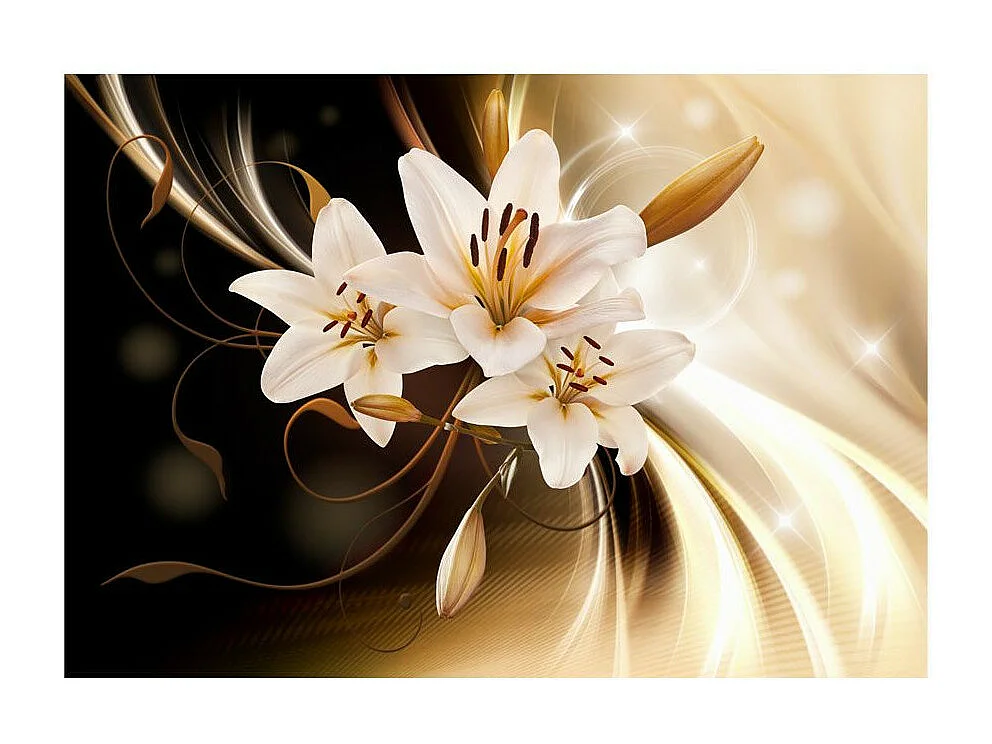 Papier Peint "Circle of Light" 245 x 350 cm