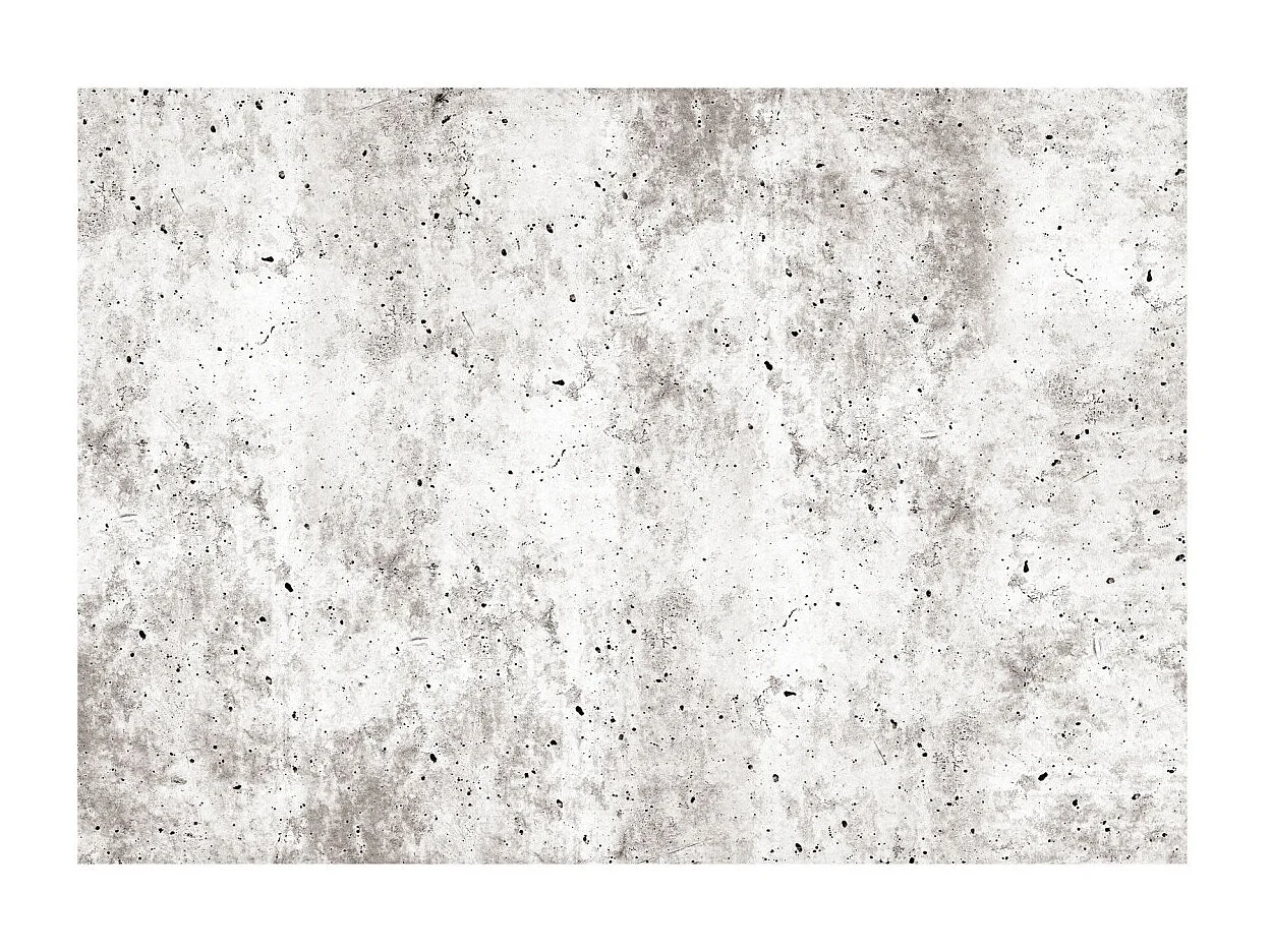 Papier Peint "Urban Style : Concrete" 140 x 200 cm