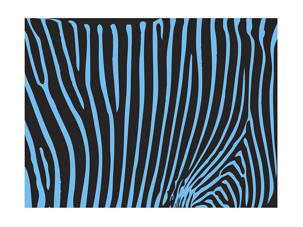 Papier Peint "Zebra Pattern Turquoise" 231 x 300 cm