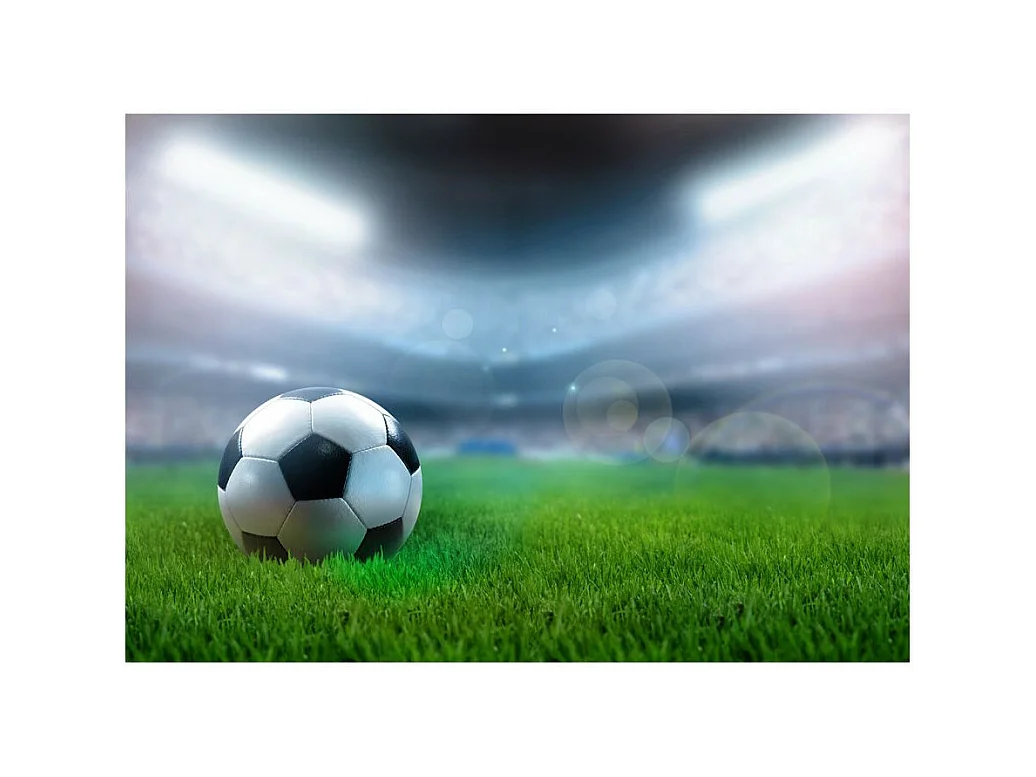 Papier Peint "World Championship" 245 x 350 cm