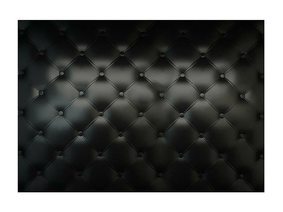 Papier Peint "Detente" 245 x 350 cm