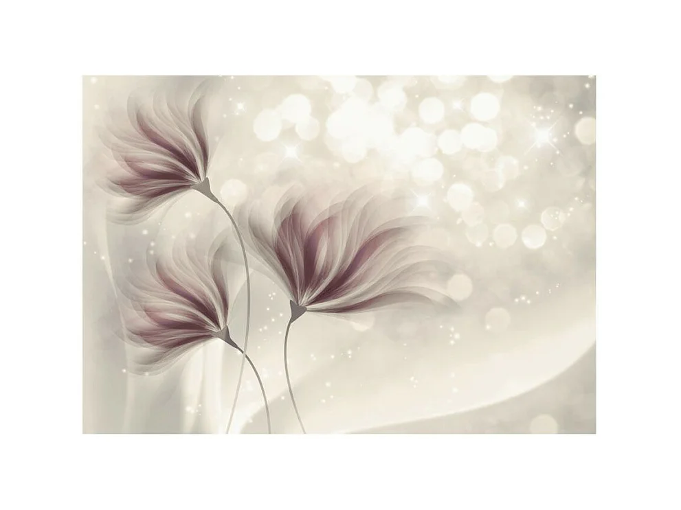 Papier Peint "Luminous Morning" 280 x 400 cm