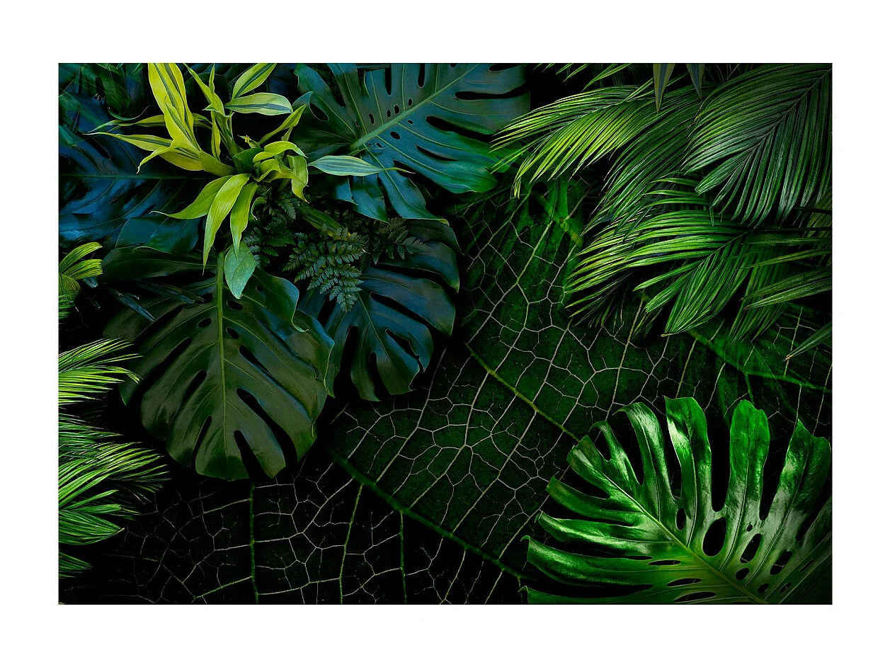 Papier Peint "Dark Jungle" 140 x 200 cm
