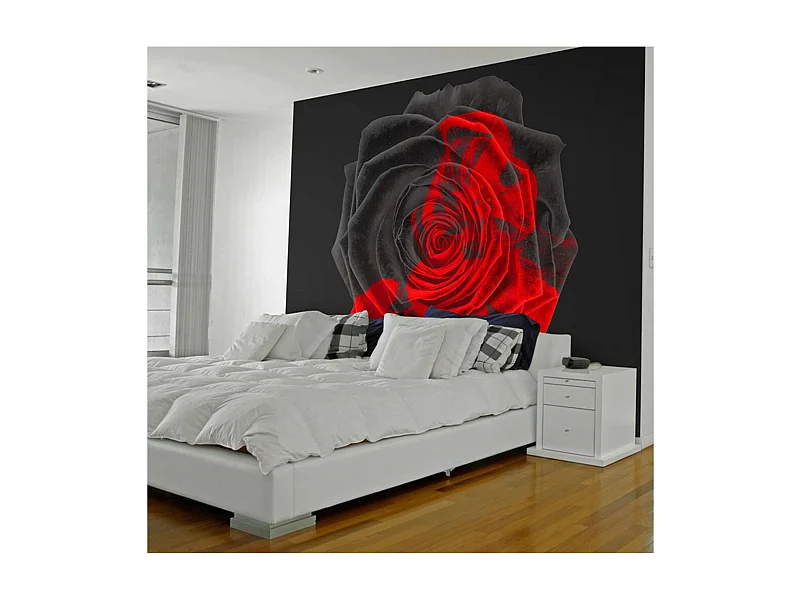 Papier Peint "Transformation" 270 x 350 cm