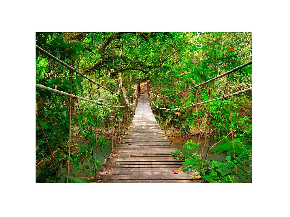 Papier Peint "Bridge Amid Greenery" 210 x 300 cm
