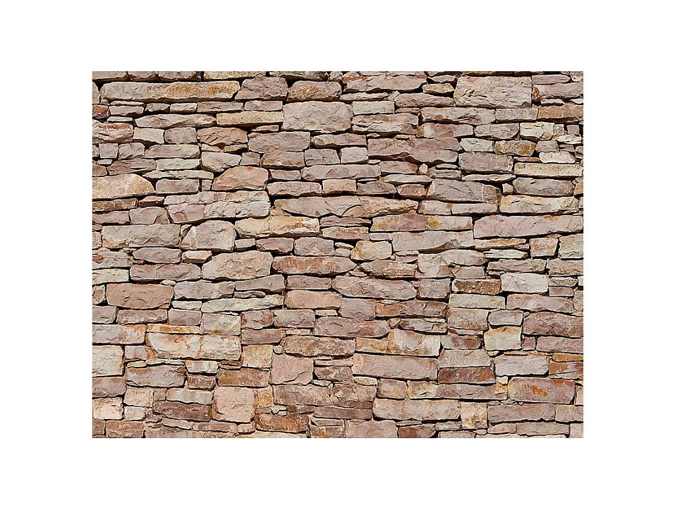 Papier Peint "Mur de Pierre Naturelle" 309 x 400 cm
