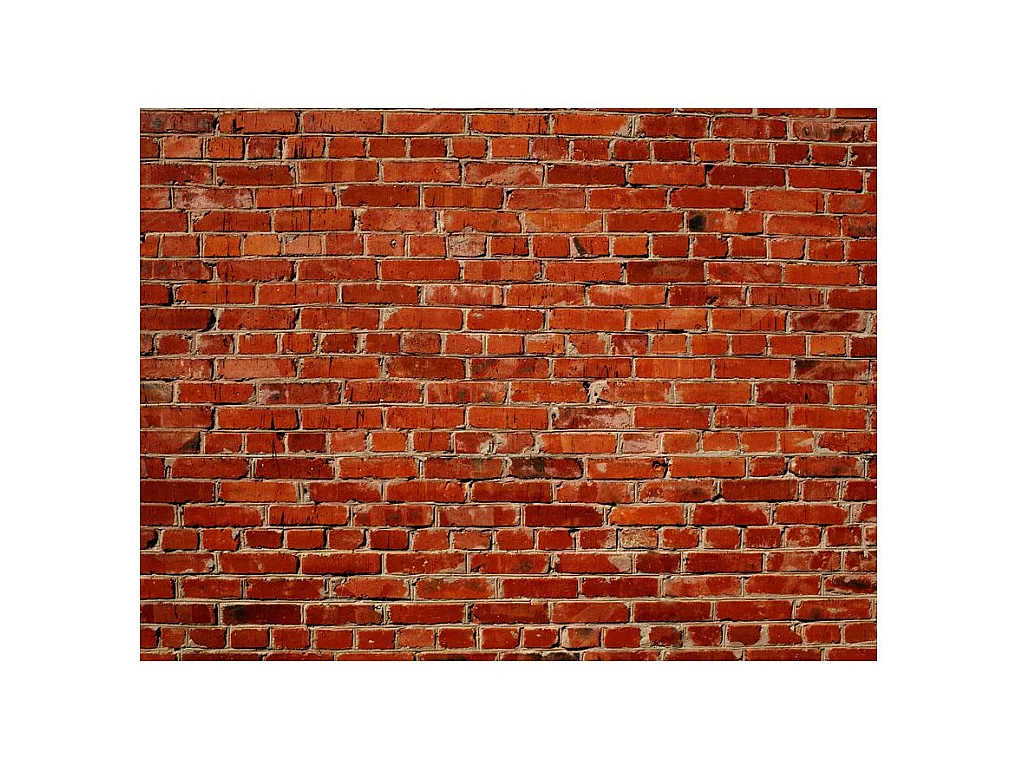 Papier Peint "Brique" 309 x 400 cm