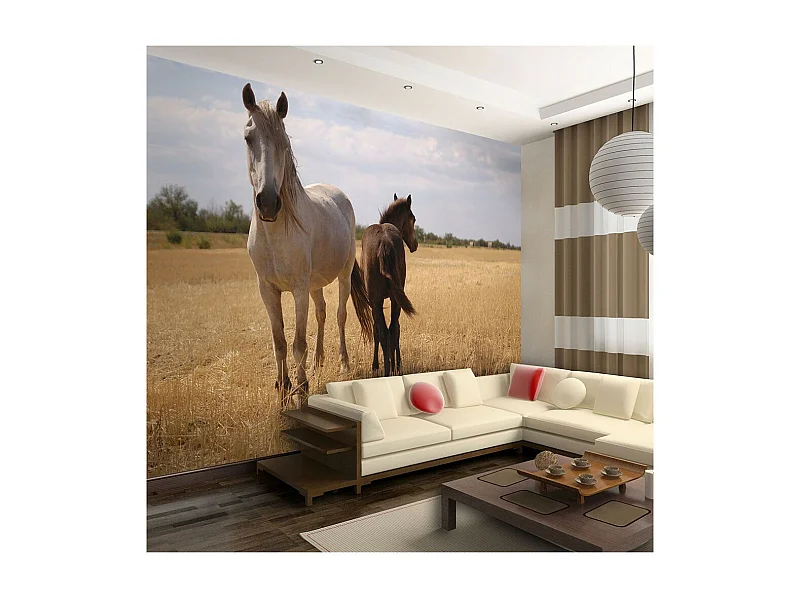 Papier Peint "Cheval & Poulain" 270 x 350 cm