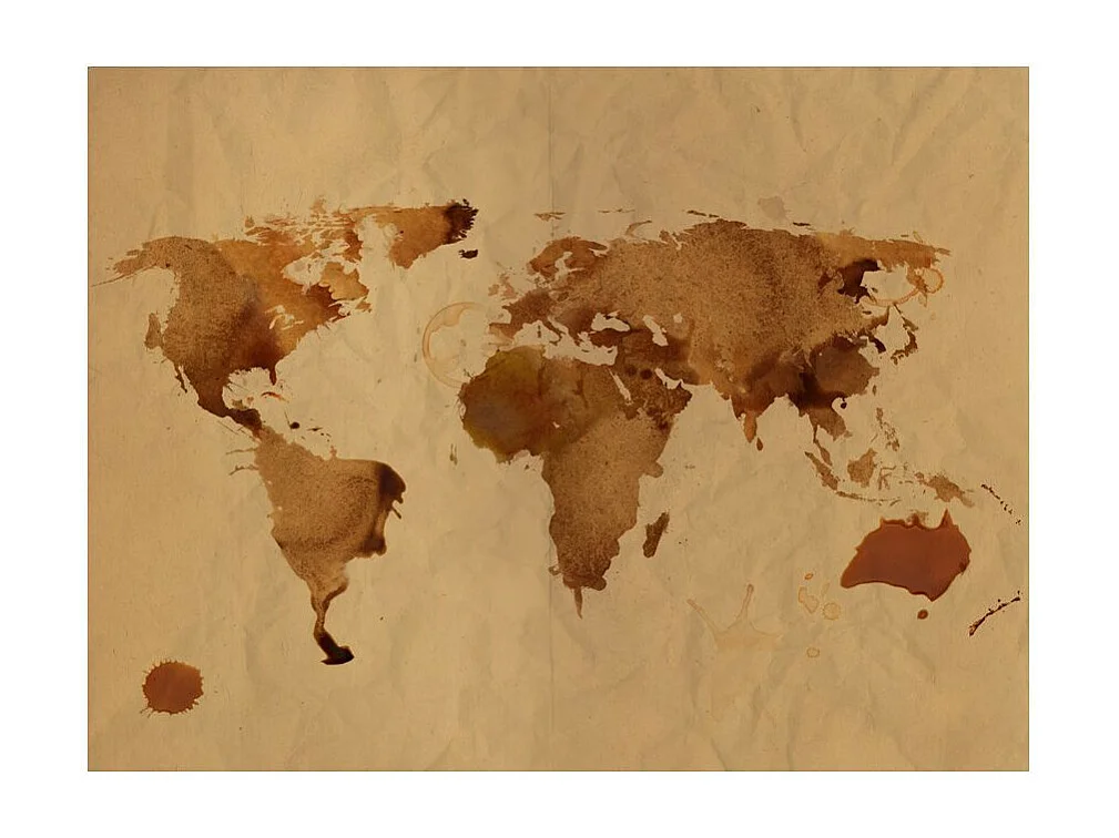 Papier Peint "Tea Map of the World" 231 x 300 cm