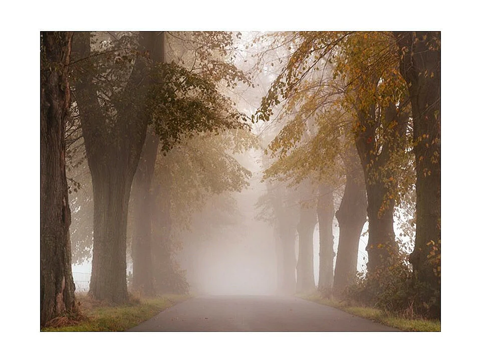 Papier Peint "Impasse" 270 x 350 cm