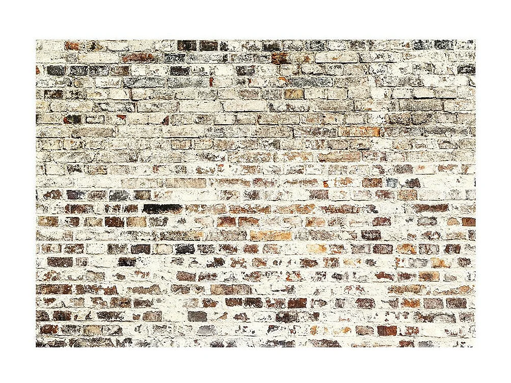 Papier Peint "Impressive Facade" 245 x 350 cm