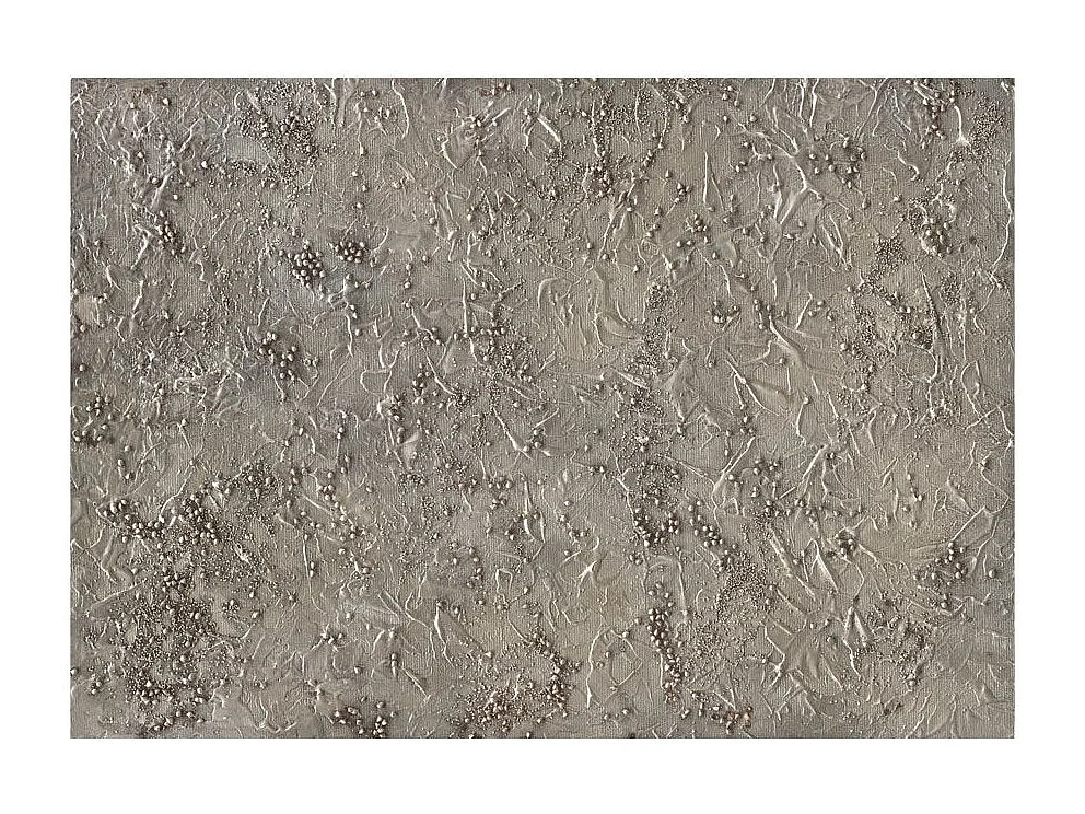 Papier Peint "Silver Serenade" 245 x 350 cm