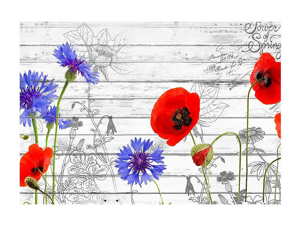 Papier Peint "Wildflowers" 70 x 100 cm