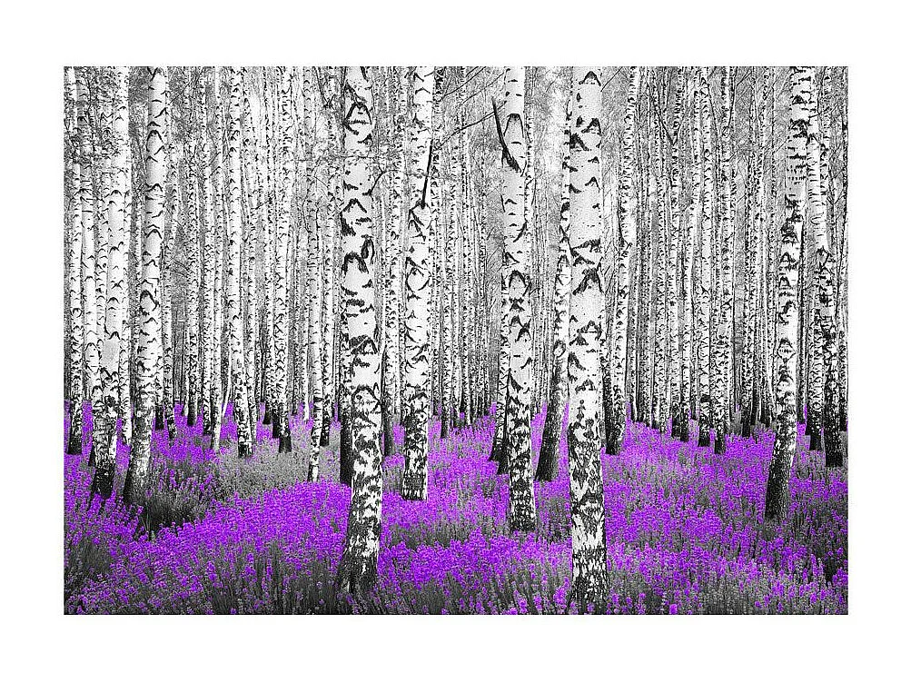 Papier Peint "Purple Asylum" 210 x 300 cm