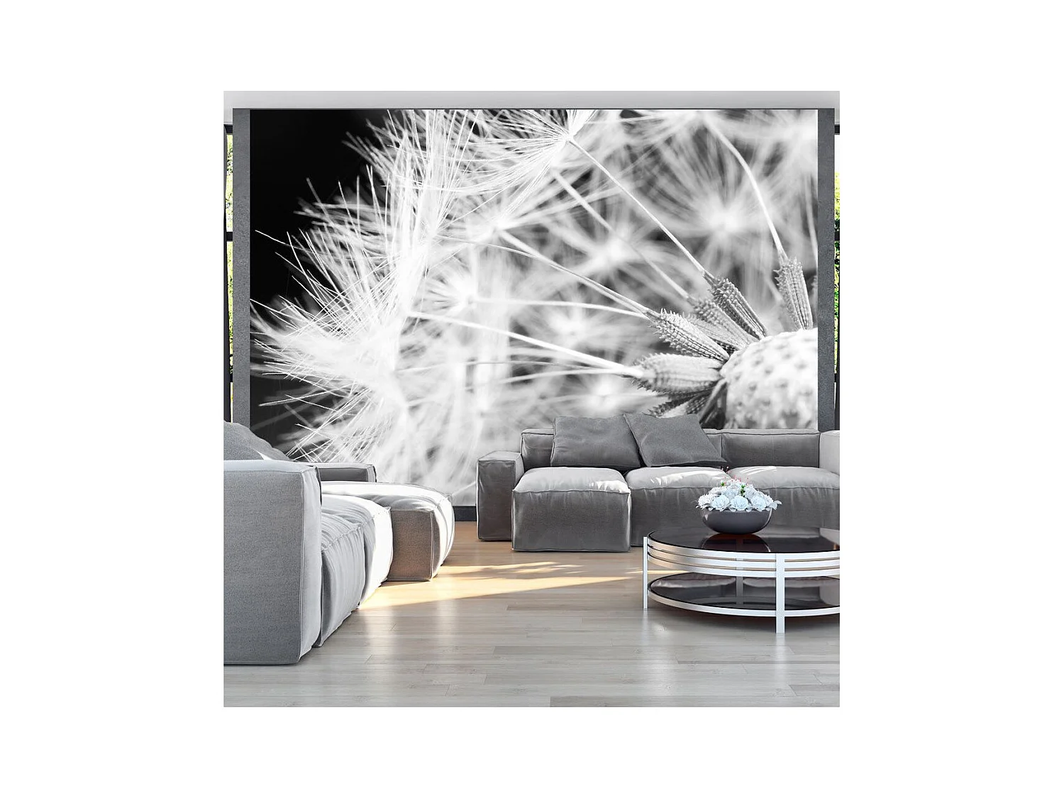 Papier Peint "Pissenlit en Noir & Blanc" 245 x 350 cm